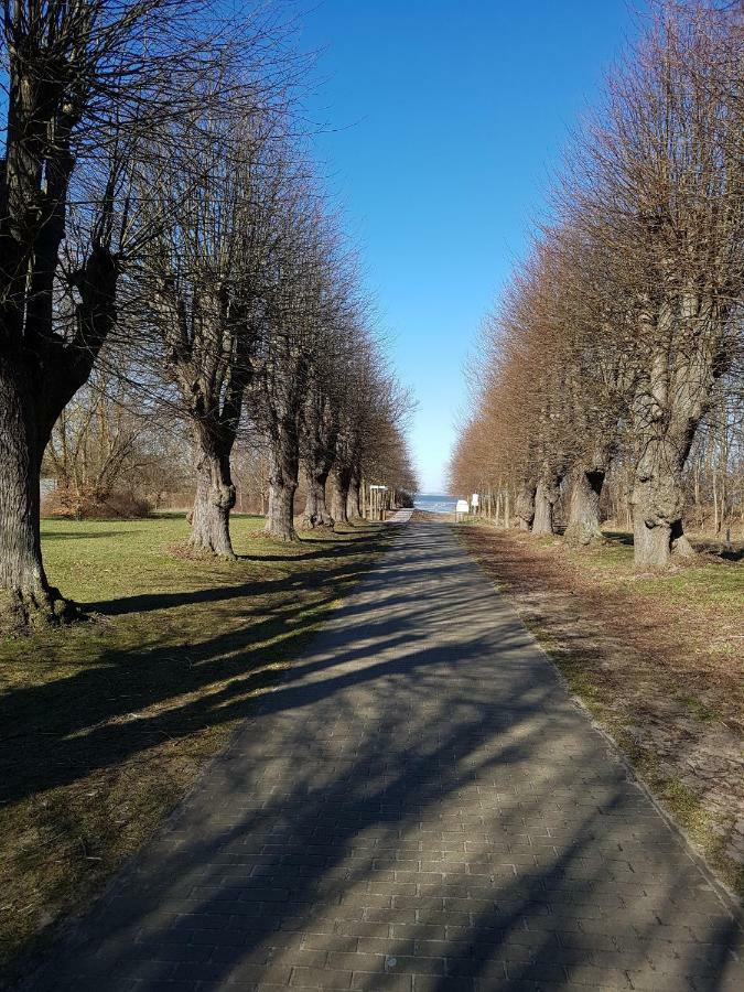 Seesternchen Gross Schwansee Bagian luar foto