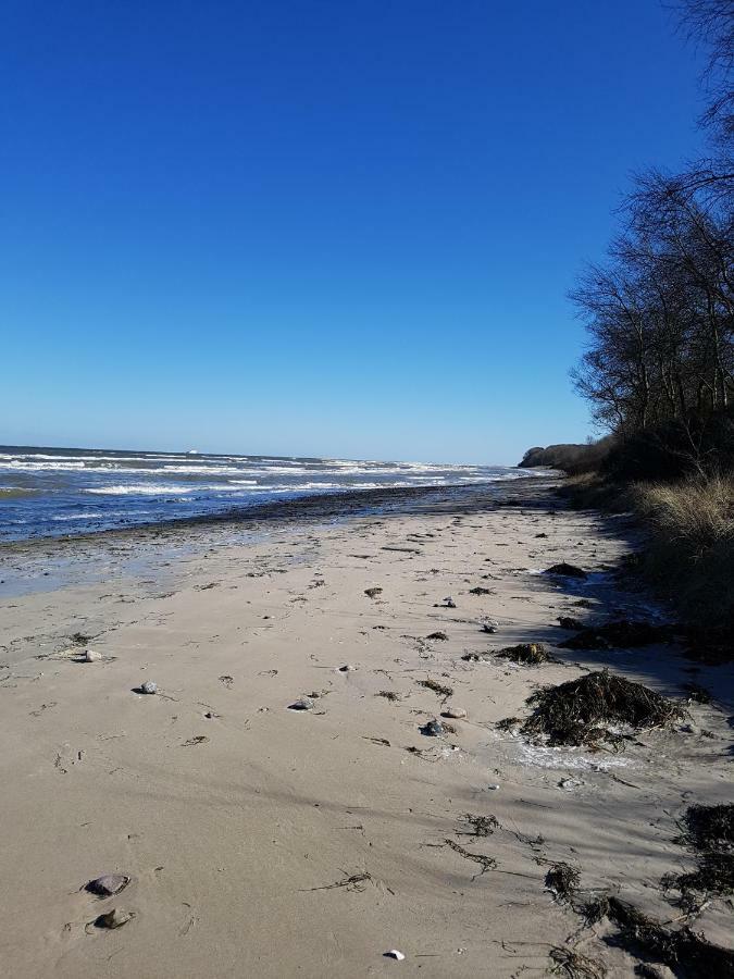 Seesternchen Gross Schwansee Bagian luar foto